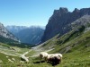 alpage-11