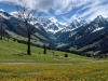 alpage-7