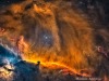 HorseFlameLion_Mahfoud_4639