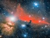 HorseFlame_Priego_3252