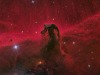 Horsehead_Hanson_2604