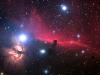 horsehead_steinberg_big