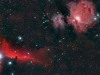 horseheadorion_martin_big