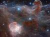 The hidden fires of the Flame Nebula*
