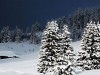 paysage-hiver-23