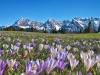 Garmisch-Partenkirchen