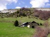 Plateau-et-hameau-de-Sornin