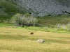 Valloire-19