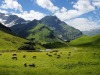 Vorarlberg