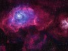 Butterfly_HubbleVargas_5075