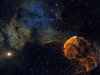 F_JellyFish_FIN_APOD