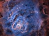 LagoonHSO_Nemcik_1829