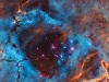 Rosette_Insley_3424