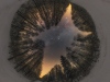Siemiony_las_31_01_2021_2048