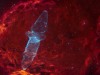 SquidBat_Akar_4485