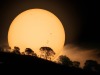SunSpotHill_Coy_2358