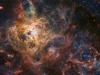 Tarantula-HST-ESO-Webb-LL