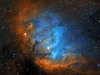 TulipNebula_SHO_pugh