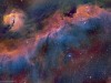 crtastro_0172_2194p