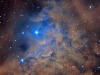 flamingstar_pugh_2666