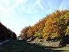 col-du-Rousset-02