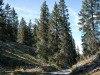 col-du-Rousset-21