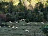 col-du-Rousset-27