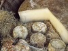 tome-de-savoie