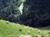 Dent_de_Crolles_2013-43