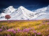 Fond_divers-7