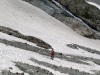 glacier-de-la-pilate-2006-24