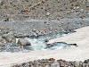 glacier-de-la-pilate-2006-26