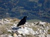 grand-veymont-2011-34