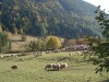 grand-veymont-2011-45