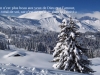 Image_vie-12