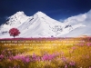 Image_vie-23