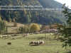 Image_vie-28