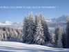 Image_vie-42