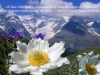 Image_vie-53