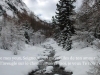 Image_vie-7