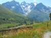 jardin_alpin-Lautaret-13