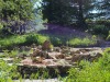 jardin_alpin-Lautaret-31