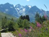 jardin_alpin-Lautaret-51