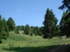 La-Moliere-2010-05