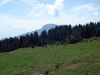 La-Moliere-2010-09