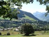 Mont_Arbois-111