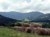 Mont_Arbois-26