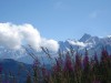 Mont_Arbois-59