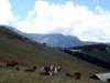 Mont_Arbois-61