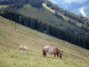 Mont_Arbois-63
